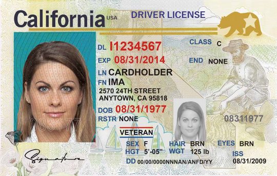 California Driver License Template PSD