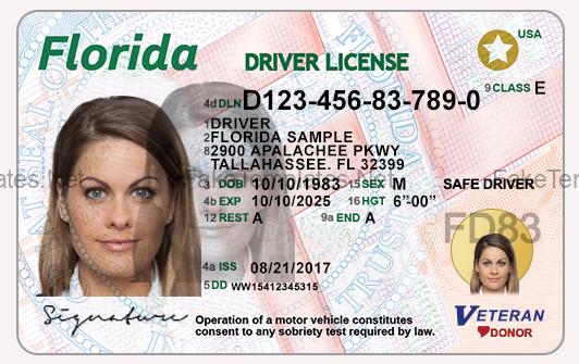 Florida Drivers License Back New Template PSD