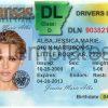 Arkansas driver license template