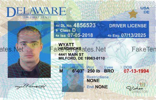 Delaware Drivers License Back New PSD template