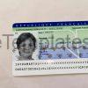 France ID Card Template PSD Mockup Girl Front