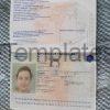 France Passport Template PSD Man