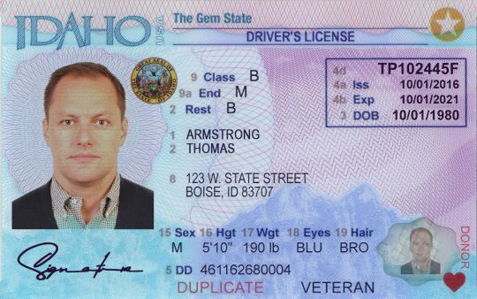 Idaho Driver License Template New