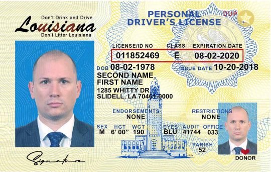 Louisiana Driver License Template Front