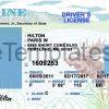 Maine Drivers License Back PSD template