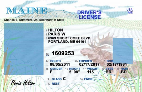 Maine Drivers License Back PSD template