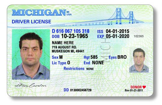 Michigan Driver License Template