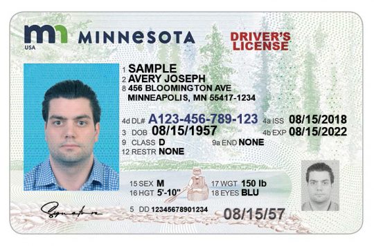Minnesota Driver License Template