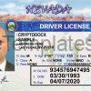 Nevada Driver License Template Front