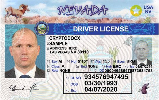 Nevada Driver License Template Front