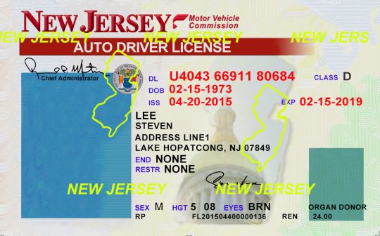 New Jersey Drivers License Template PSD