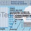 Ontario Driver License Template Front