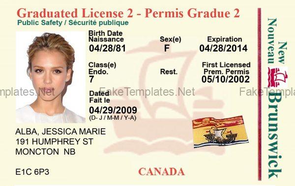 Ontario Driver License Template PSD Front