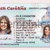 South Carolina Driver License Template