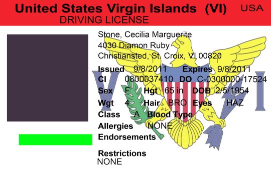 US Virgin Island Driver License Template Front