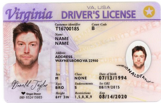 Virginia Driver License Template