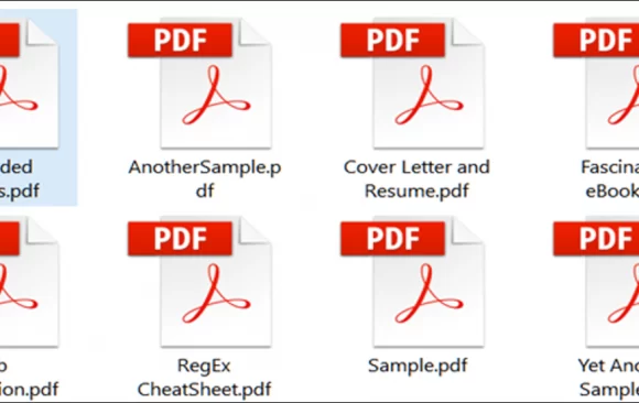 What is a pdf file